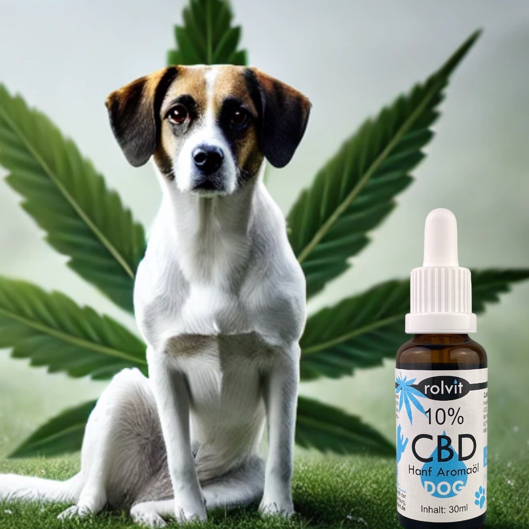 CBD für Hunde - hilfreich oder nicht? - CBD für Hunde - vorteilhaft oder nicht