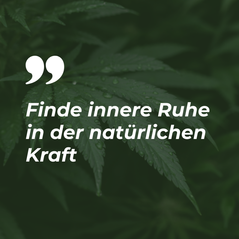 Selfcare im Alltag: Kleine Routinen für mehr Ruhe, Klarheit und Wohlbefinden - Selfcare im Alltag mit CBD-Öle