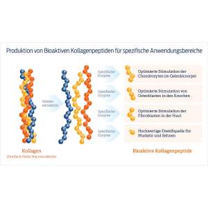 Collagile dog 225g - Bioaktive Kollagenpeptide in...