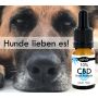 CBD Öl für Hunde mit MCT Öl verfeinert, 10% CBD Anteil - 10ml Flasche - Laborgeprüft