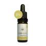 CBD Öl für Katzen, 5% CBD Hanf-Öl-Tropfen, CAT - mit Vanillearoma, 500 mg CBD, Terpenfrei & Laborgeprüft in der 10ml Flasche
