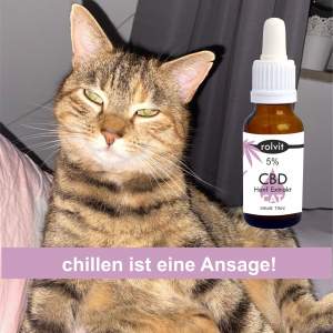 CBD Öl für Katzen, 5% CBD Hanf-Öl-Tropfen,...