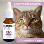 CBD Öl für Katzen, 5% CBD Hanf-Öl-Tropfen, CAT - ohne Geschmack mit 500 mg CBD, Terpenfrei & Laborgeprüft in der 10ml Flasche