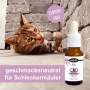 CBD Öl für Katzen, 5% CBD Hanf-Öl-Tropfen, CAT - ohne Geschmack mit 500 mg CBD, Terpenfrei & Laborgeprüft in der 10ml Flasche